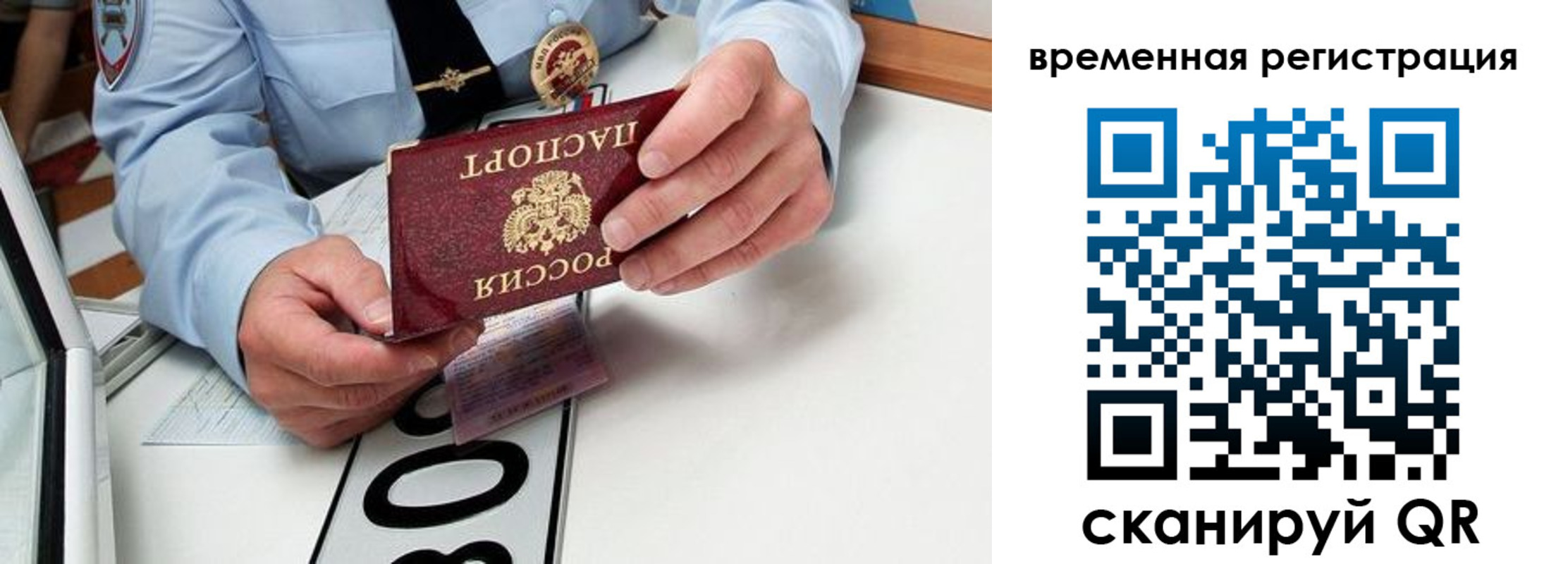 прописка гарантия в Владимире